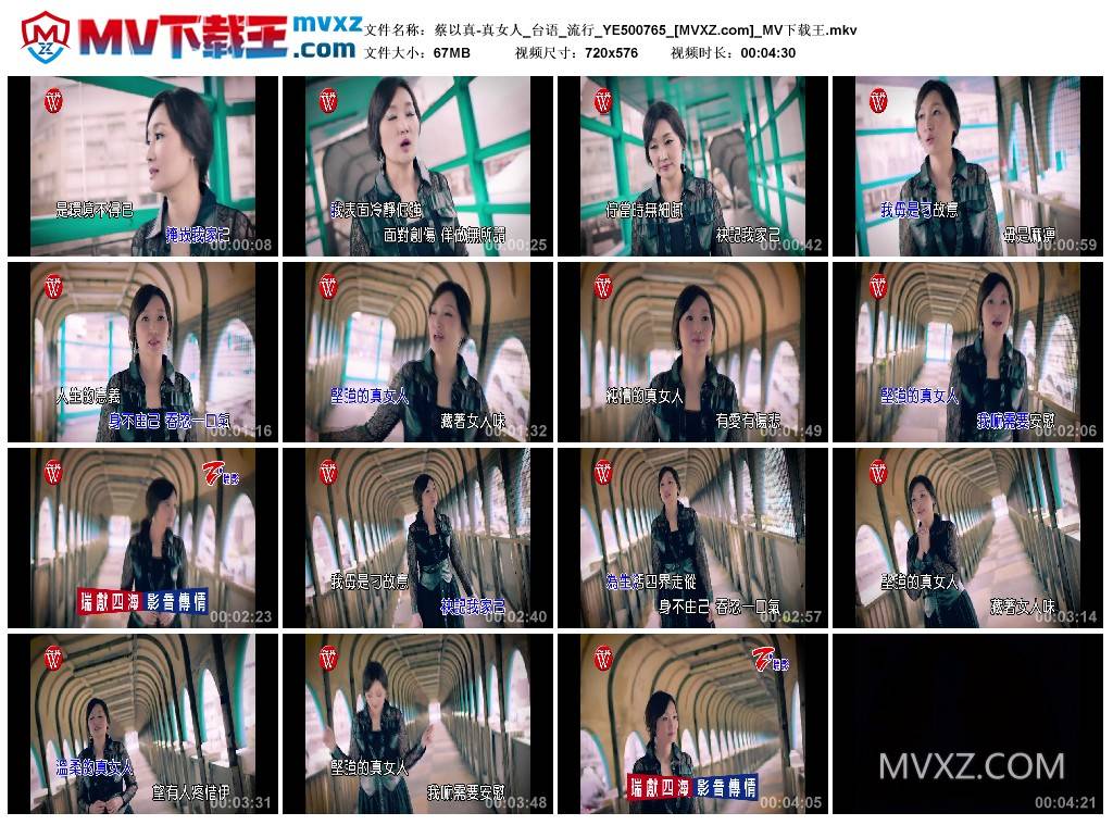 蔡以真-真女人_台语_流行_YE500765